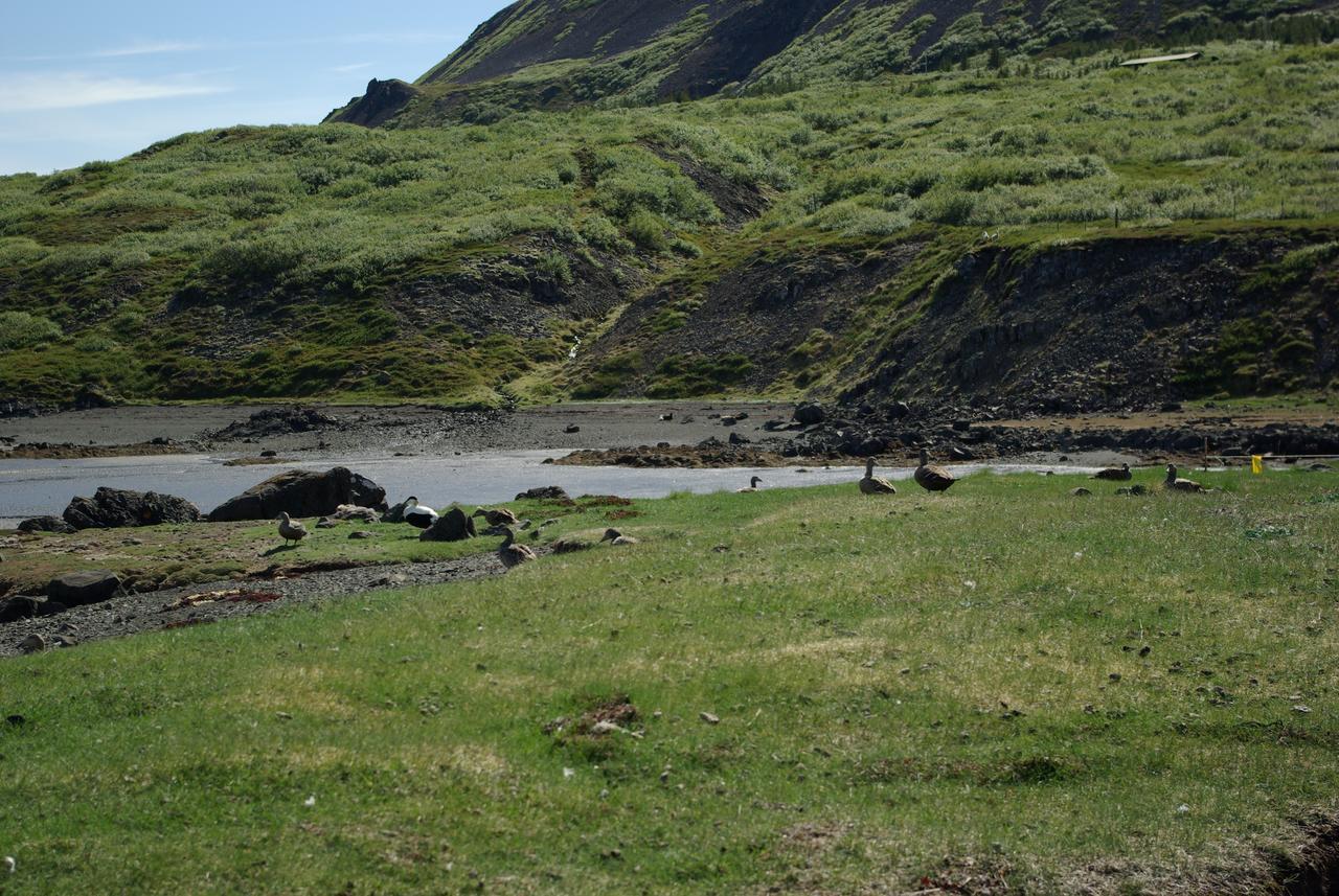 Reykholar Hostel Exteriér fotografie